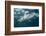 Oceanic Black-Tip Shark and Remora, KwaZulu-Natal, South Africa-Pete Oxford-Framed Photographic Print