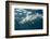 Oceanic Black-Tip Shark and Remora, KwaZulu-Natal, South Africa-Pete Oxford-Framed Photographic Print