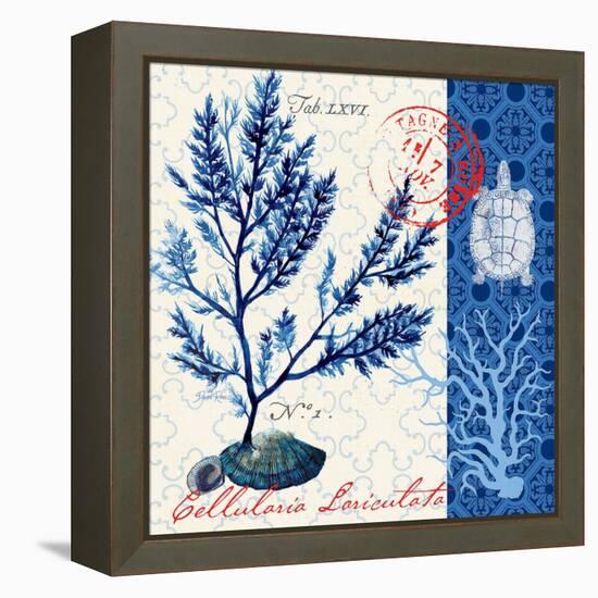 Oceanic Botanical-Devon Ross-Framed Stretched Canvas