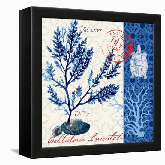 Oceanic Botanical-Devon Ross-Framed Stretched Canvas