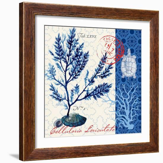 Oceanic Botanical-Devon Ross-Framed Art Print