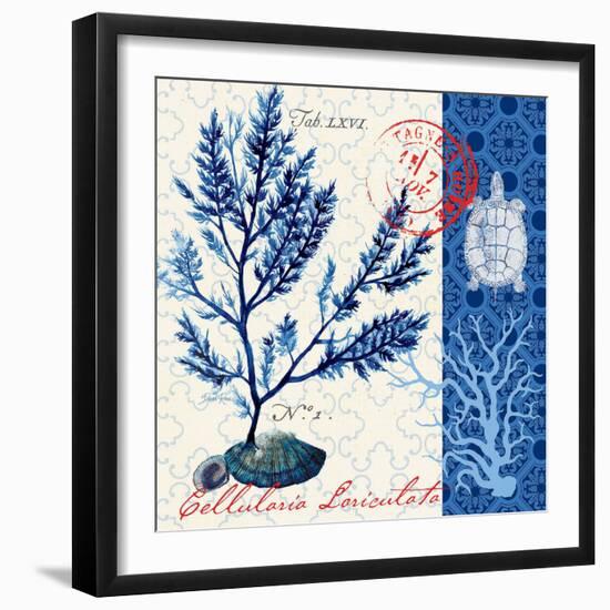 Oceanic Botanical-Devon Ross-Framed Art Print