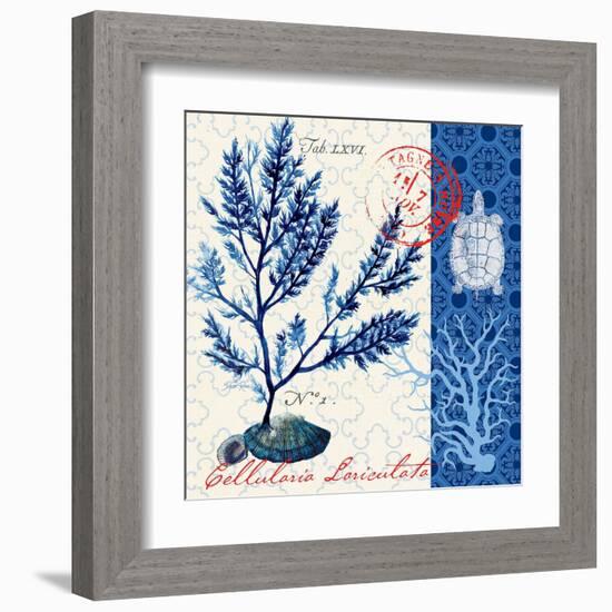 Oceanic Botanical-Devon Ross-Framed Art Print