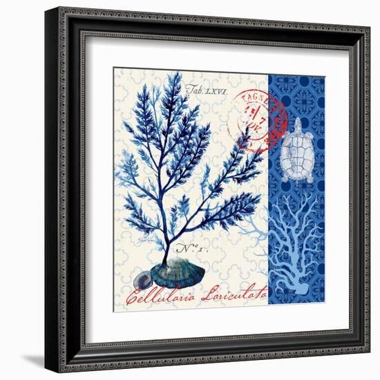 Oceanic Botanical-Devon Ross-Framed Art Print