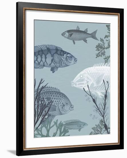 Oceanic Fauna-The Vintage Collection-Framed Giclee Print
