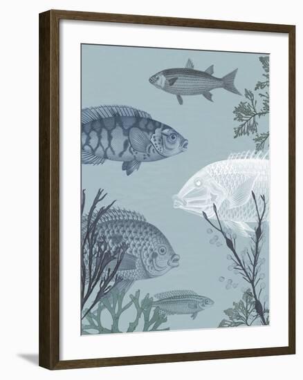 Oceanic Fauna-The Vintage Collection-Framed Giclee Print