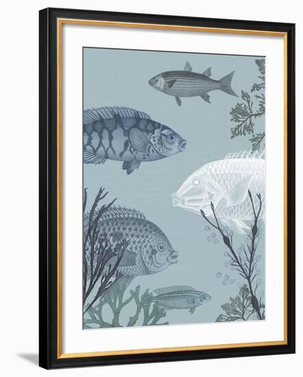 Oceanic Fauna-The Vintage Collection-Framed Giclee Print