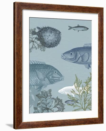 Oceanic Fiesta-The Vintage Collection-Framed Giclee Print