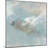 Oceanic Turtle II-Ken Roko-Mounted Art Print