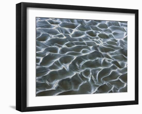 Oceanic-Art Wolfe-Framed Photographic Print