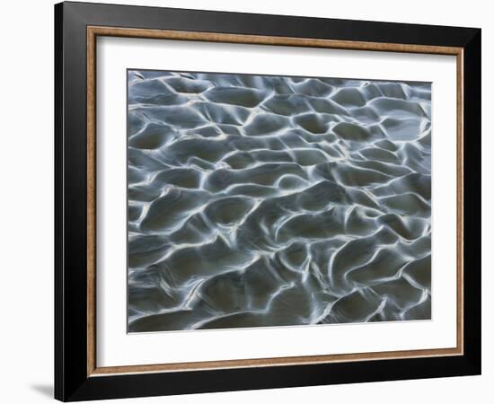 Oceanic-Art Wolfe-Framed Photographic Print