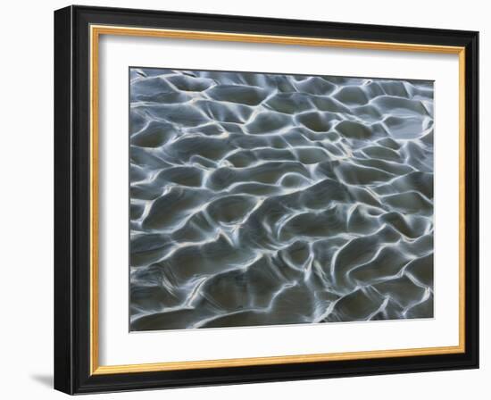 Oceanic-Art Wolfe-Framed Photographic Print