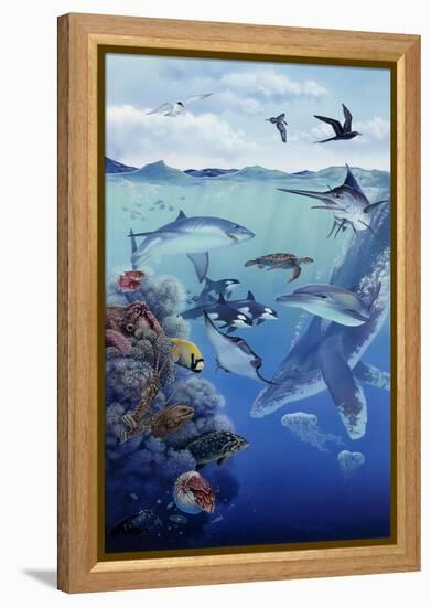 Oceanic-Tim Knepp-Framed Premier Image Canvas