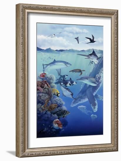 Oceanic-Tim Knepp-Framed Premium Giclee Print