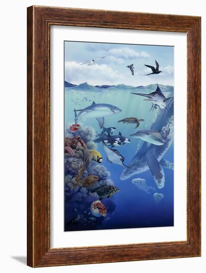 Oceanic-Tim Knepp-Framed Premium Giclee Print