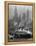 Oceanliner Queen Elizabeth Sailing in to Port-Andreas Feininger-Framed Premier Image Canvas