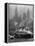 Oceanliner Queen Elizabeth Sailing in to Port-Andreas Feininger-Framed Premier Image Canvas