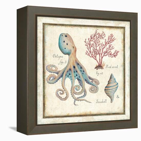 Oceanography I-Daphne Brissonnet-Framed Stretched Canvas