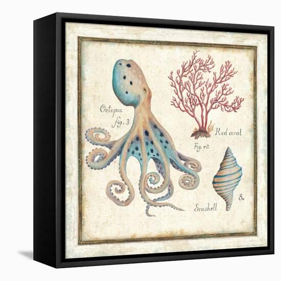 Oceanography I-Daphne Brissonnet-Framed Stretched Canvas