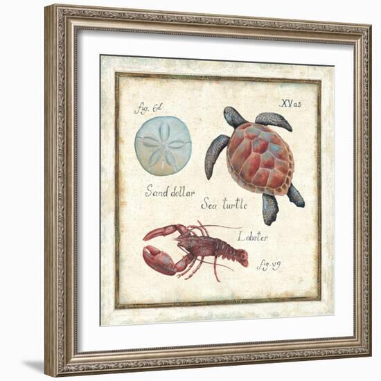 Oceanography II-Daphne Brissonnet-Framed Art Print