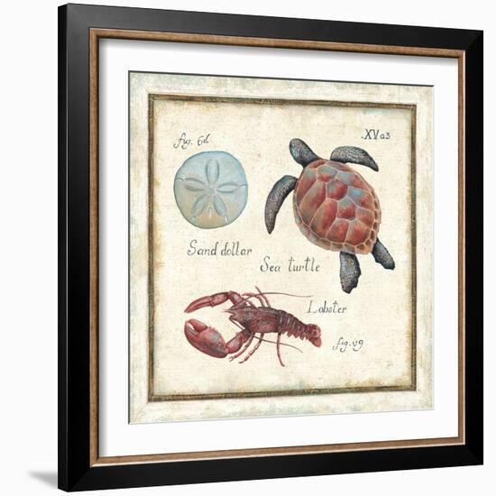 Oceanography II-Daphne Brissonnet-Framed Art Print