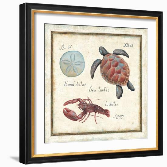 Oceanography II-Daphne Brissonnet-Framed Art Print