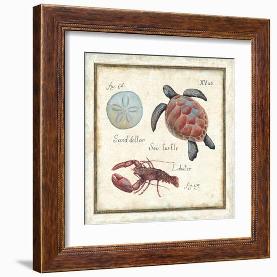 Oceanography II-Daphne Brissonnet-Framed Art Print