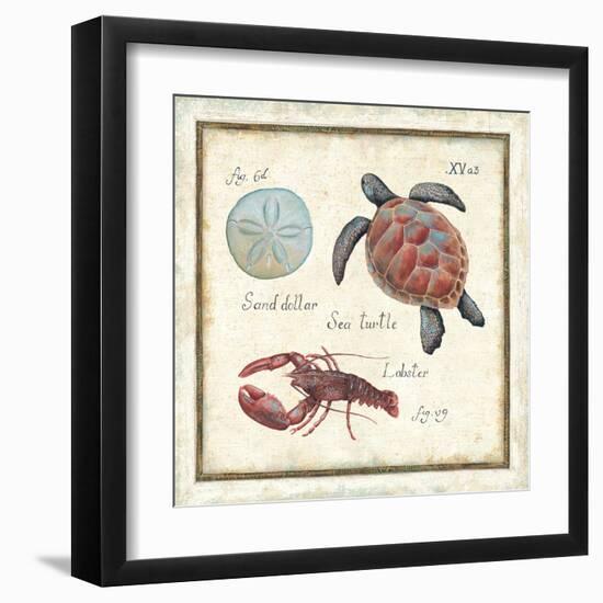 Oceanography II-Daphne Brissonnet-Framed Art Print