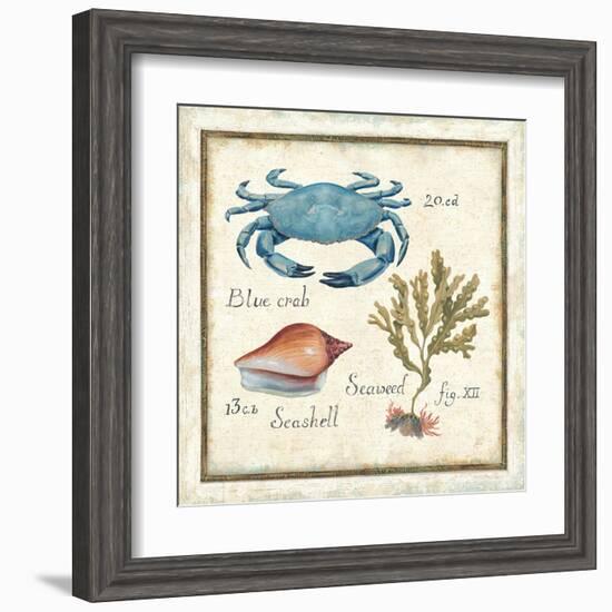 Oceanography IV-Daphne Brissonnet-Framed Art Print