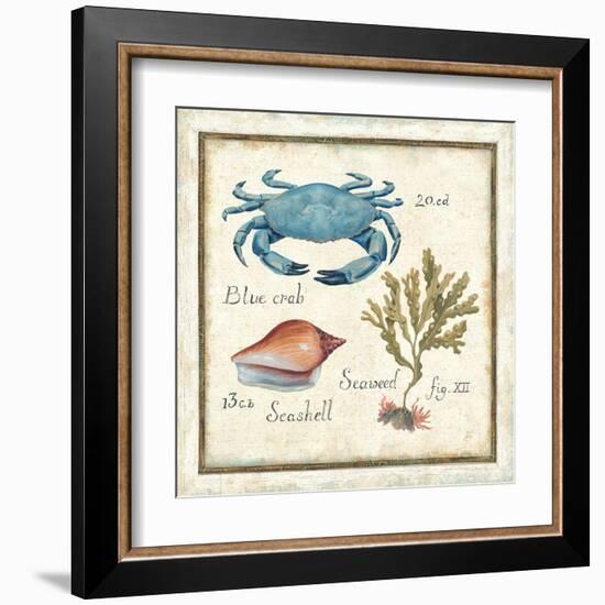 Oceanography IV-Daphne Brissonnet-Framed Art Print