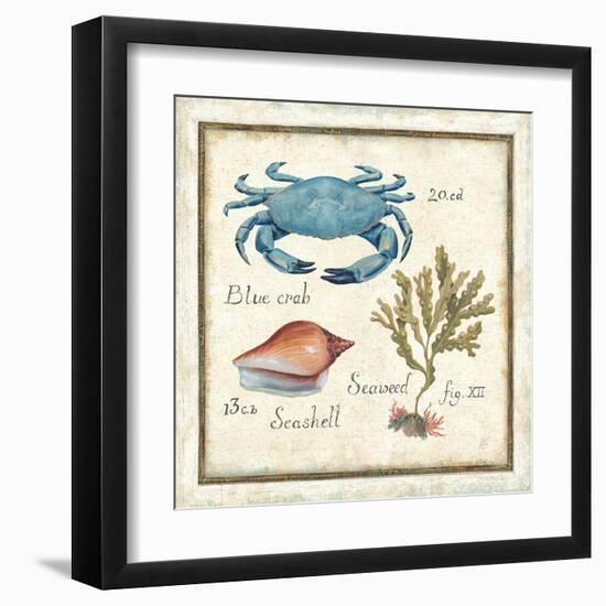 Oceanography IV-Daphne Brissonnet-Framed Art Print