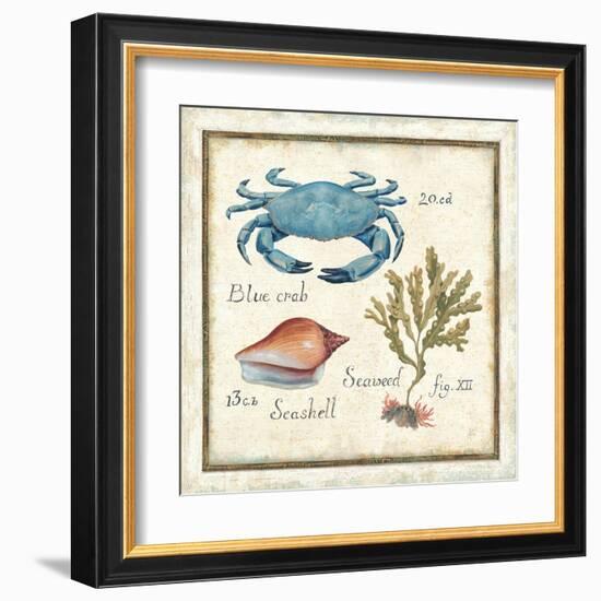 Oceanography IV-Daphne Brissonnet-Framed Art Print