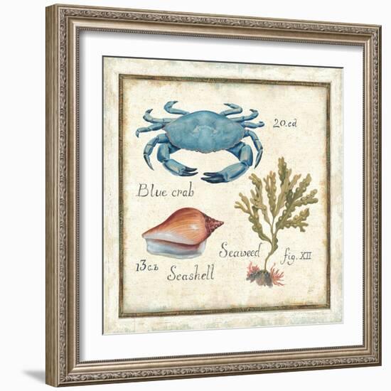 Oceanography IV-Daphne Brissonnet-Framed Art Print