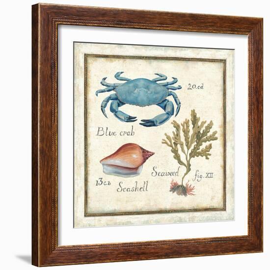 Oceanography IV-Daphne Brissonnet-Framed Art Print