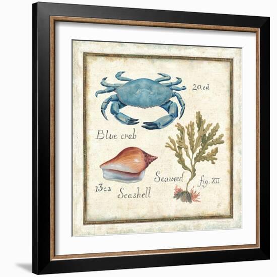 Oceanography IV-Daphne Brissonnet-Framed Art Print