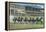 Oceanport, New Jersey - Monmouth Park Race Track Scene-Lantern Press-Framed Stretched Canvas