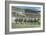 Oceanport, New Jersey - Monmouth Park Race Track Scene-Lantern Press-Framed Premium Giclee Print