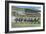 Oceanport, New Jersey - Monmouth Park Race Track Scene-Lantern Press-Framed Art Print