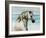 Oceans Spirit-Sydney Edmunds-Framed Giclee Print