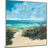 Oceanside I-Jane Slivka-Mounted Art Print