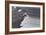 Oceanside Surf I-Lee Peterson-Framed Photo