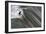 Oceanside Surf II-Lee Peterson-Framed Photo