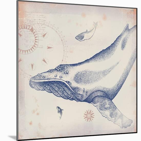 Oceanus Cetacea-Ken Hurd-Mounted Giclee Print