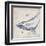 Oceanus Cetacea-Ken Hurd-Framed Giclee Print