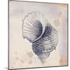 Oceanus Crusta-Ken Hurd-Mounted Giclee Print