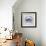 Oceanus Crustacea-Ken Hurd-Framed Giclee Print displayed on a wall