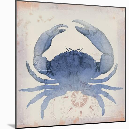 Oceanus Crustacea-Ken Hurd-Mounted Giclee Print