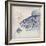 Oceanus Vitae-Ken Hurd-Framed Giclee Print