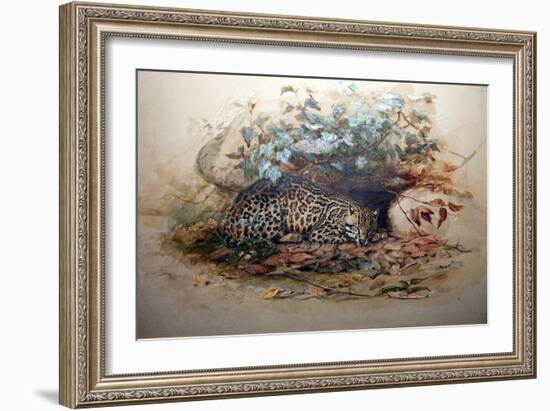 Ocelot, 1851-52-Joseph Wolf-Framed Giclee Print