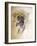 Ocelot, 1851-52-Joseph Wolf-Framed Giclee Print